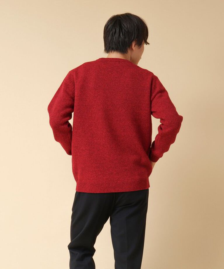 NOLLEY'S goodman「クジラインターシャ クルーネックニット 24AW」|ニット・セーター|