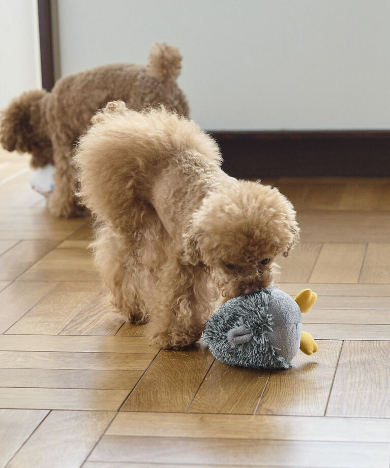 ROPE PICNIC PASSAGE「【DOG】スクイーカーガチョウトイ」|その他|