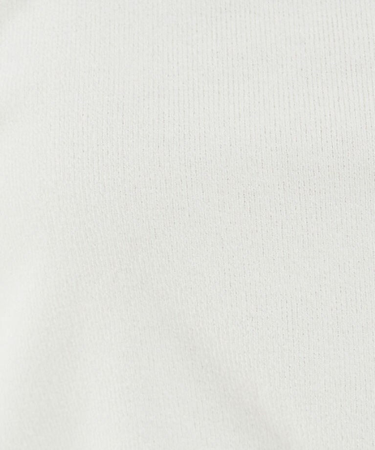 abahouse mavie「スパークナイロンクルーネックプルオーバー」|Tシャツ・カットソー|