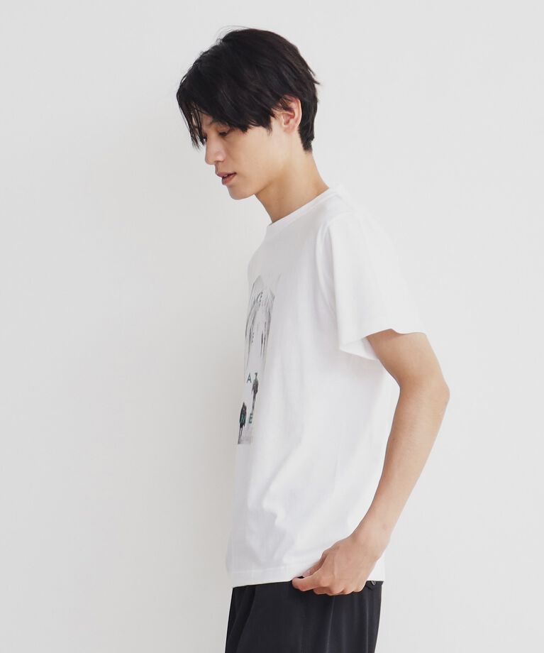THE SHOP TK「プリントアソート半袖Tシャツ」|Tシャツ・カットソー|