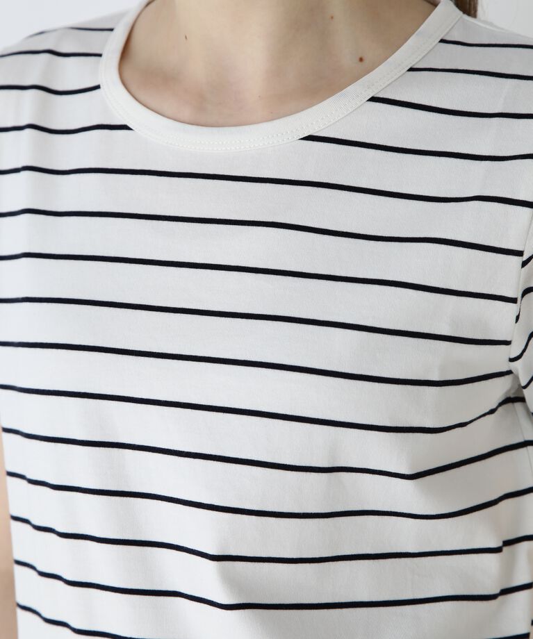  「◆オーガニック綿天竺半袖ボーダーＴシャツ」|Tシャツ・カットソー|
