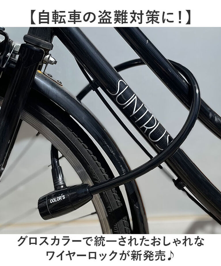 BACKYARD FAMILY「GORIN ゴリン ワイヤーロック G220W 通販 自転車用ワイヤーロック ワイヤー錠」|その他|
