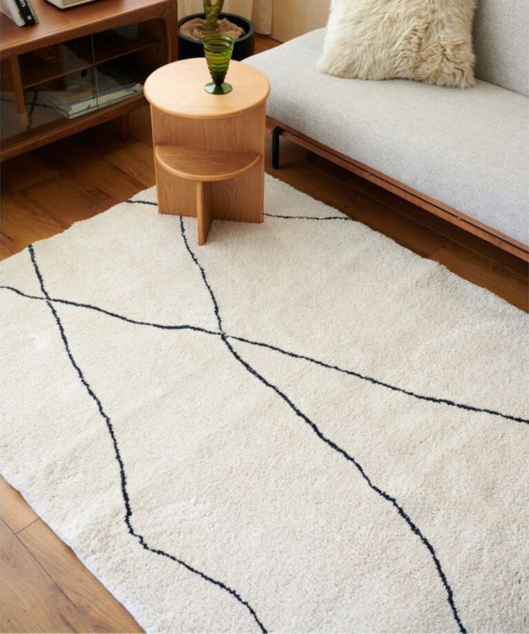 journal standard Furniture「TEMARA RUG 200x250　テマララグ」|その他|