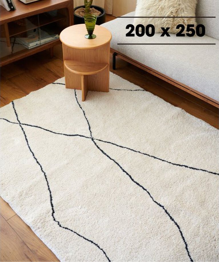 journal standard Furniture「TEMARA RUG 200x250　テマララグ」|その他|ナチュラル