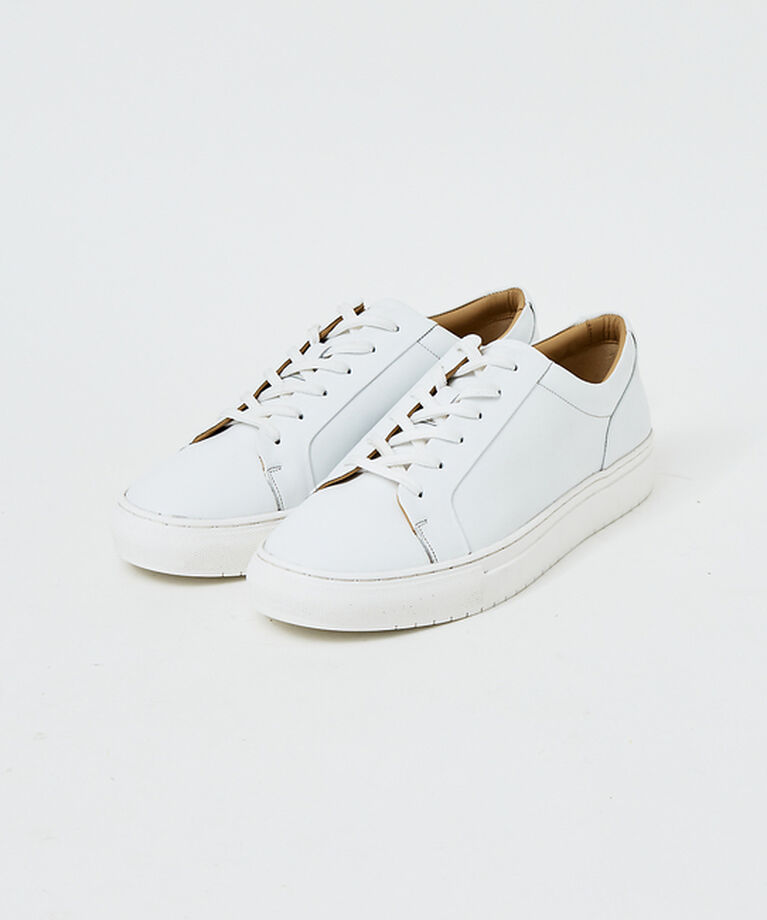 alfredoBANNISTER「【SHOO IN SHOE】究極のベーシック オールレザースニーカー」|スニーカー|