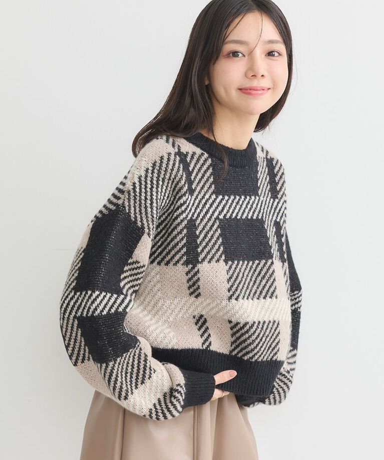 earth music&ecology「チェックニットプルオーバー」|ニット・セーター|Black