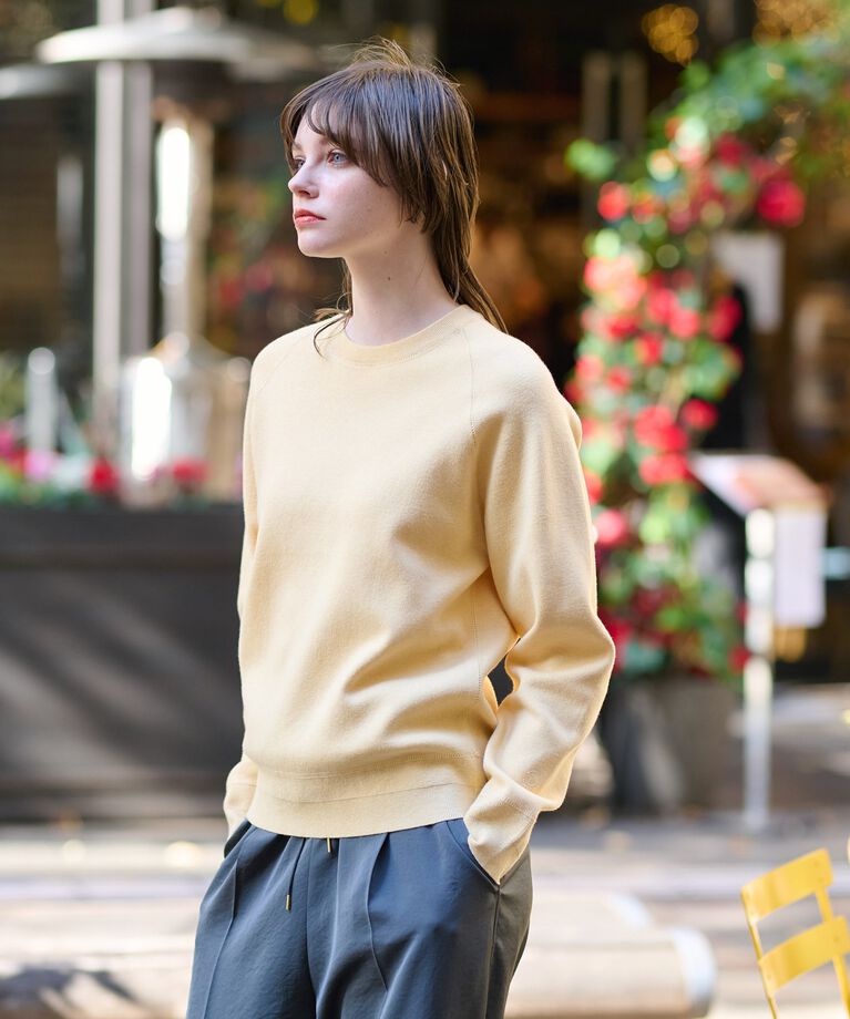 DRESSTERIOR「【洗える／春夏カラー】ウォッシャブル コットンカシミヤ混ニット」|ニット・セーター|