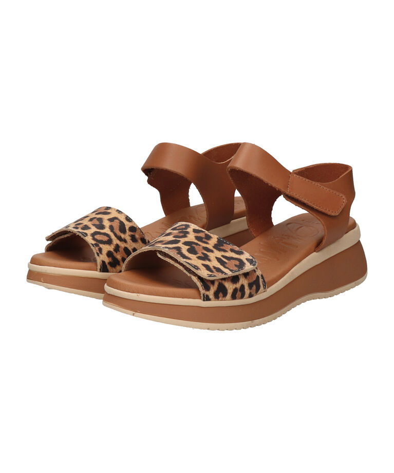 IMPORT SELECT「【Oh my Sandals】ベルクロローヒールサンダル(E52500)」|サンダル|