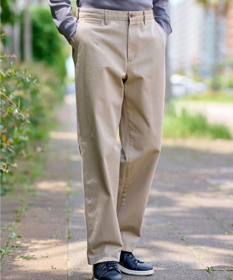 DRESSTERIOR「ヴィンテージ アルティメットチノパンツ」|その他|