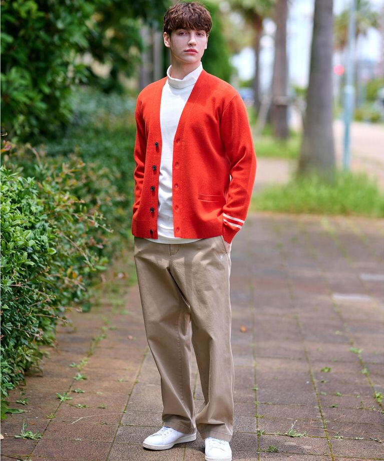 DRESSTERIOR「ヴィンテージ アルティメットチノパンツ」|その他|