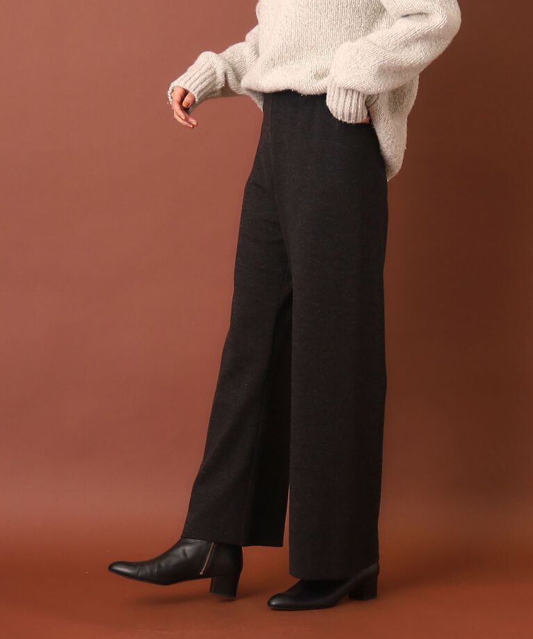DRESSTERIOR「ポンチイージーワイドパンツ」|その他|
