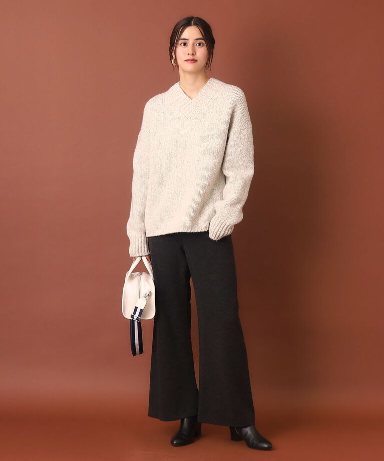DRESSTERIOR「ポンチイージーワイドパンツ」|その他|