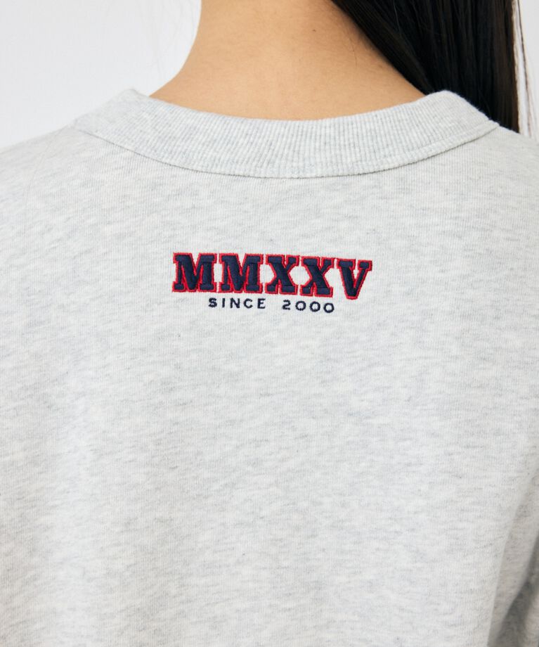 MOUSSY「MOUSSY TWILL アップリケ プルオーバー」|パーカー|