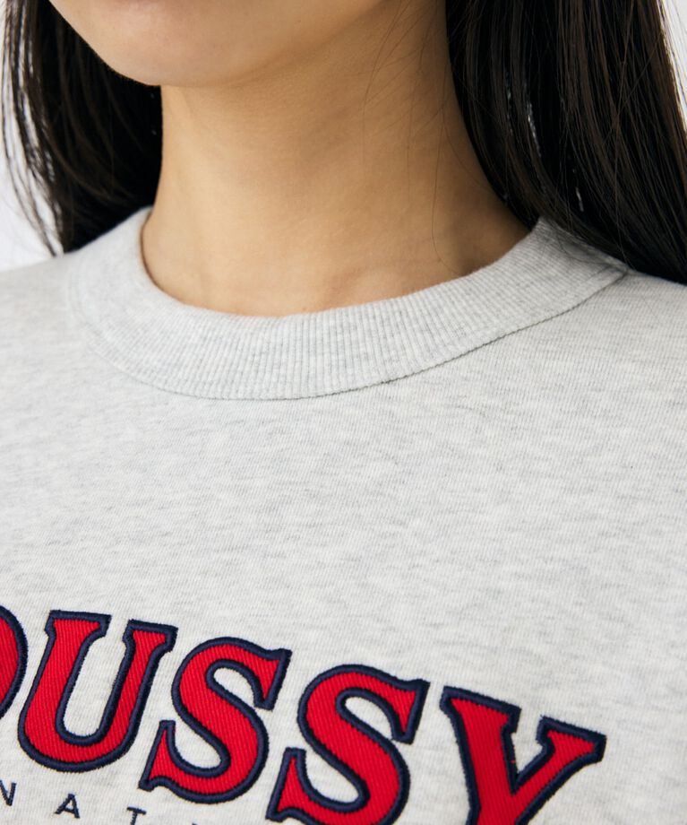 MOUSSY「MOUSSY TWILL アップリケ プルオーバー」|パーカー|