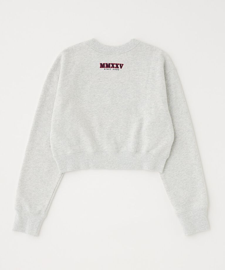 MOUSSY「MOUSSY TWILL アップリケ プルオーバー」|パーカー|