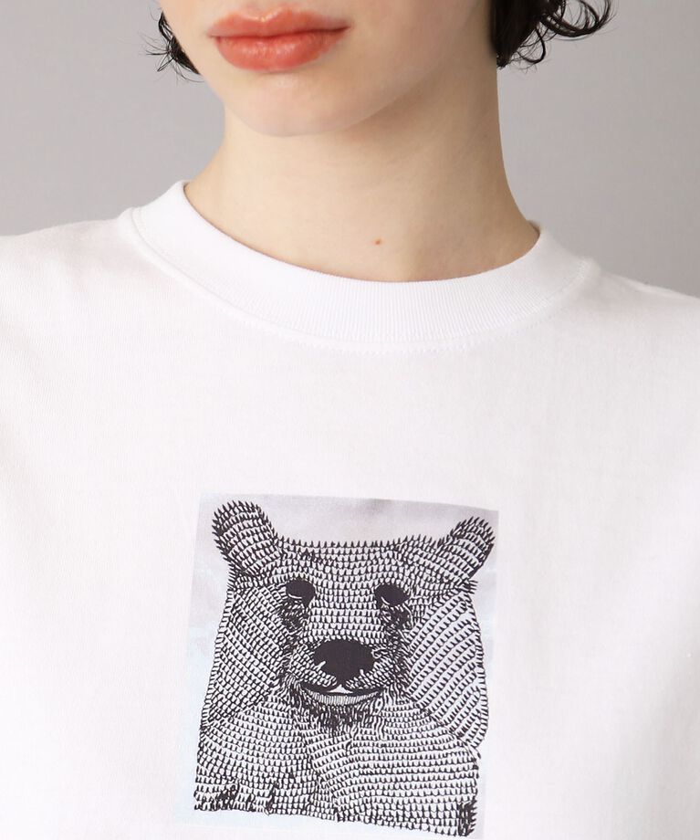 DRESSTERIOR「ANGE IN DISGUISE （アンジ イン ディスガイズ）【別注カラーあり】しろくまTシャツ」|Tシャツ・カットソー|