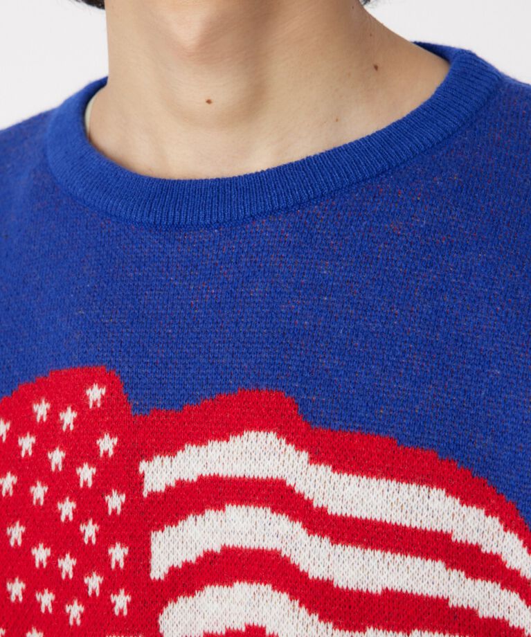 RODEO CROWNS「US flag ニット」|ニット・セーター|