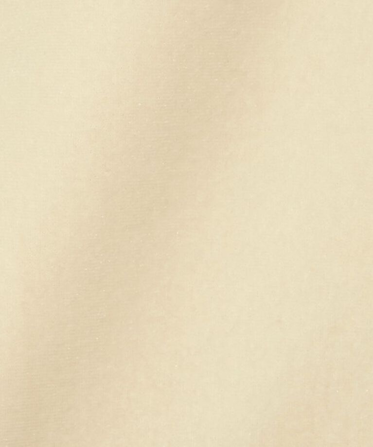STEVEN ALAN「＜Steven Alan＞ベロア Tシャツ」|Tシャツ・カットソー|