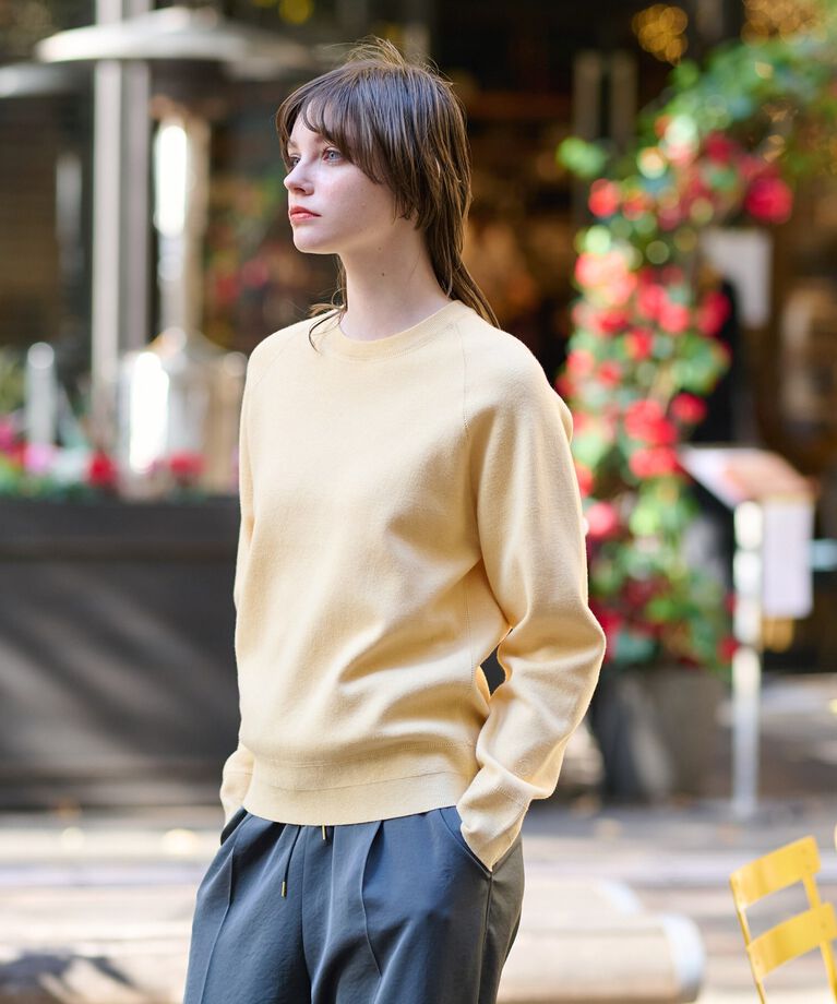 DRESSTERIOR「【洗える／春夏カラー】ウォッシャブル コットンカシミヤ混ニット」|ニット・セーター|